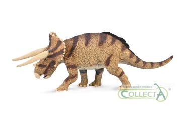 Triceratops horridus - confronting (L)
